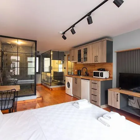 Modern Stylish Retreat In Fatih District