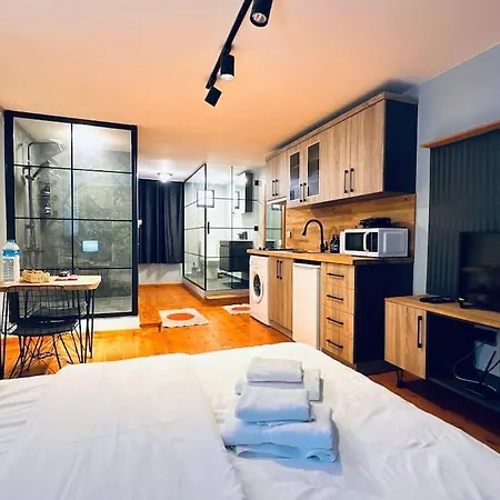 Apartamento Modern Stylish Studio Retreat In Fatih District